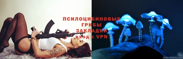 PSILOCYBIN Кинешма