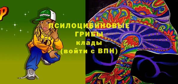 PSILOCYBIN Кинешма