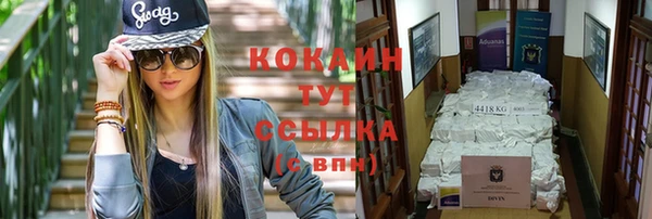 винт Костерёво