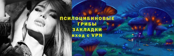 PSILOCYBIN Кинешма